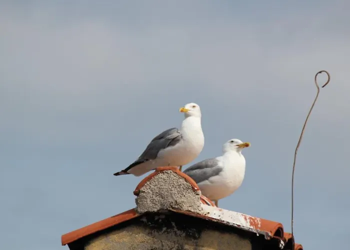 Miramar Διαμέρισμα *